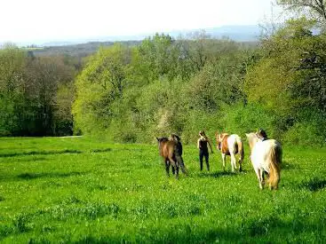 Photo de Padirac Cheval Nature