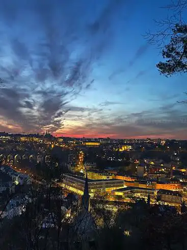 Viewpoint