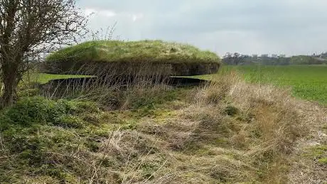 Mushroom Pillbox