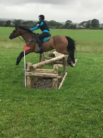 Photo de Primrosehill Equestrian