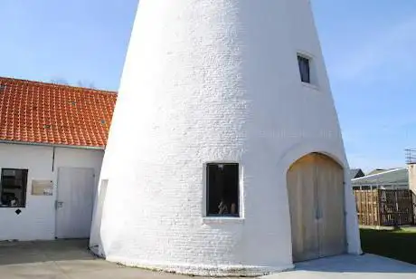 Patattenmolen