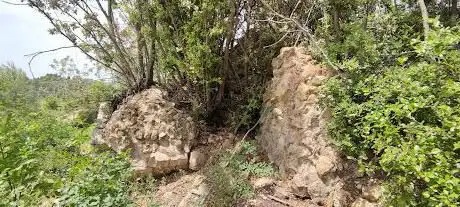 Castiglion Bernardi