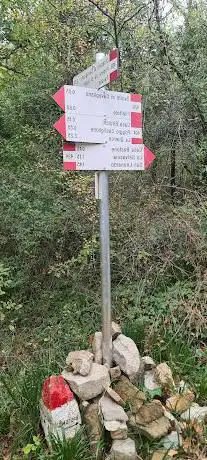 Inizio discesa sentiero Bosco di Filettole