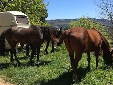 HORSE PLANET EQUITATION