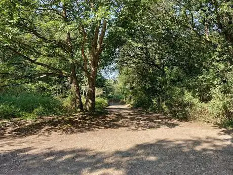 Photo de Backwarden Nature Reserve