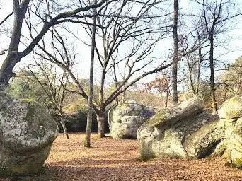 Forêt de Fontainebleau