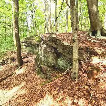 Hohlenstein