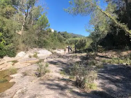 Photo de Toll del MolàNou