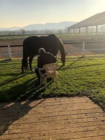 Al Borgo Scuola di Equitazione