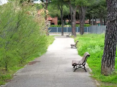Photo de Forestal