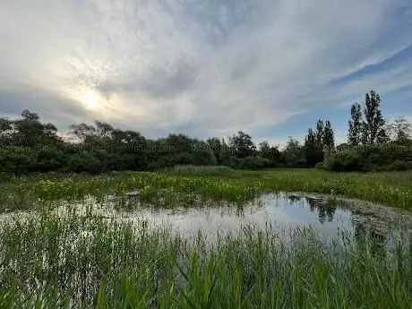 Photo de Kijkwand De Roerdomp