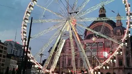 Flamingoplein