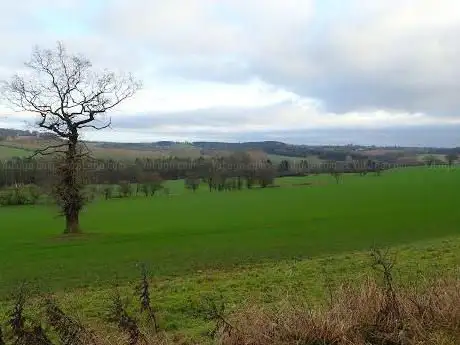 Photo de Colliers Wood Nature Reserve