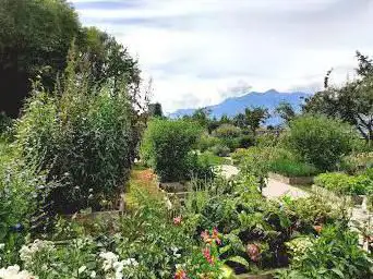 Jardin des Anciens Remèdes