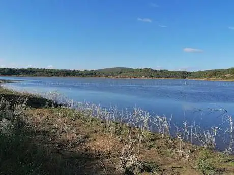 lago baratz