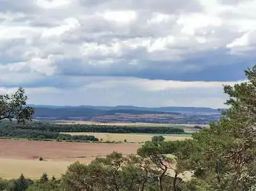Kirchheimbolanden ökologischer Wald