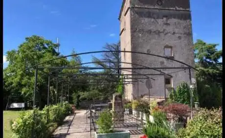 Necropoli del Castellaccio