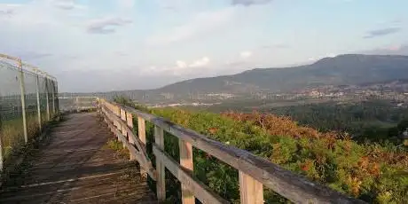 Miradoiro do Monte Tahume