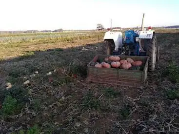 Photo de Le potager de Fresnoy