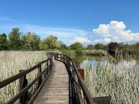 Photo de Acquario della Laguna