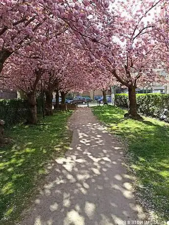Parc Artemis