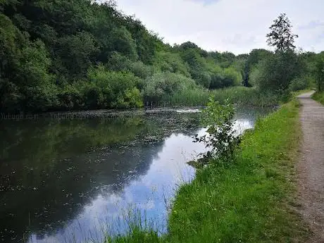 Photo de WITHNELL NATURE TRAIL
