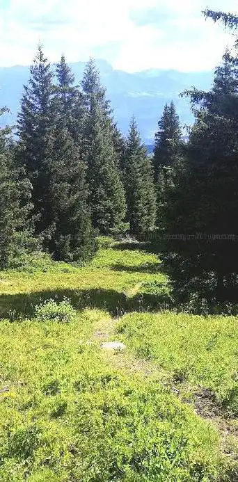 Photo de Gros cailloux