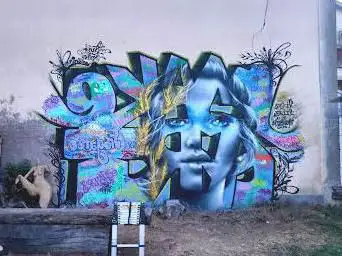 Creations Frogaroo