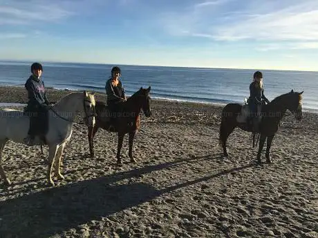 Photo de Ãndale Stables