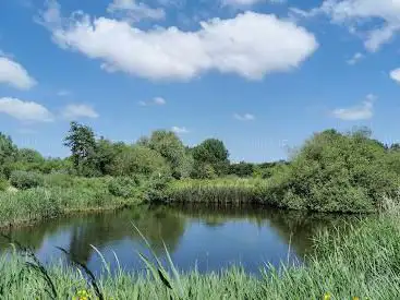 Ijsvogel warandeputten
