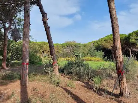 Les Sorres de Pineda