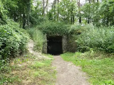 Mont Royal