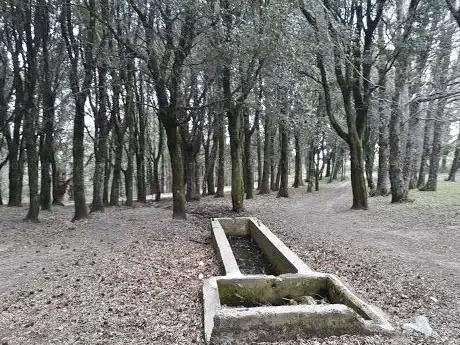 Photo de Area Picnic 