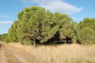 Photo de Mougères