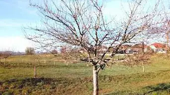 Photo de Boucle de Laqueyre