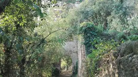 Photo de Lungadige Pescantina