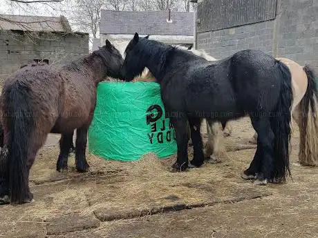 Bitless Equestrian Centre