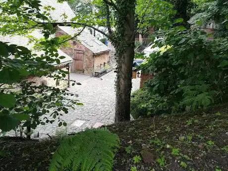 Photo de Forest Gallery
