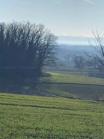 Photo de Forêt du Buchwald