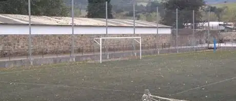 Photo de Campo de fútbol de hierba artificial