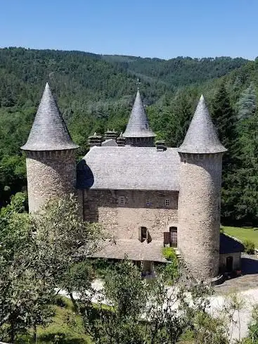Photo de Château de Montjoie