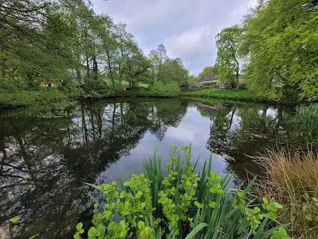 Photo de Lumsdale Waterfall