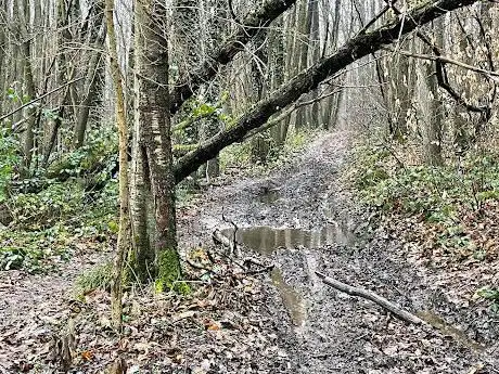 Photo de Bois de Montgé