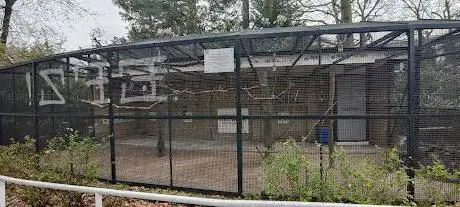 Photo de Aviarium
