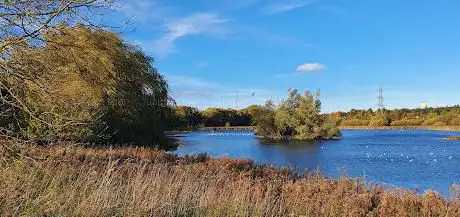 Photo de Shibdon Pond Local Nature Reserve
