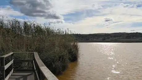 Pontile Falco di Palude