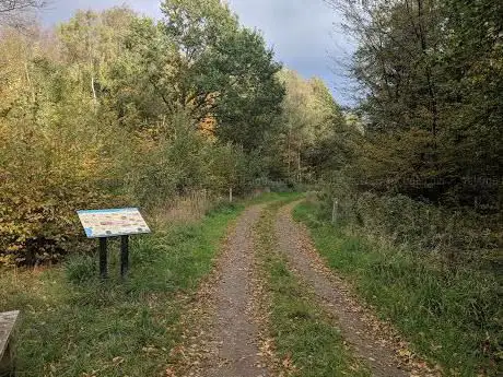 Photo de Balls Wood