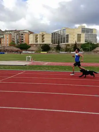 Federazione Italiana Di Atletica Leggera - Comitato Provinciale di Sassari
