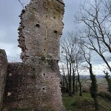 Photo de Château de Montaigu
