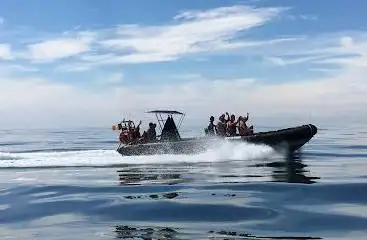 Photo de Escapade marine,balade en mer, bateau taxi